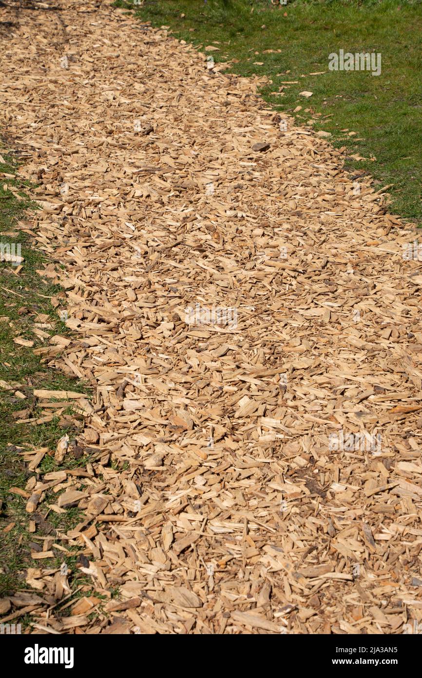 simple garden path made of ecological wood chips in the meadow Stock Photo