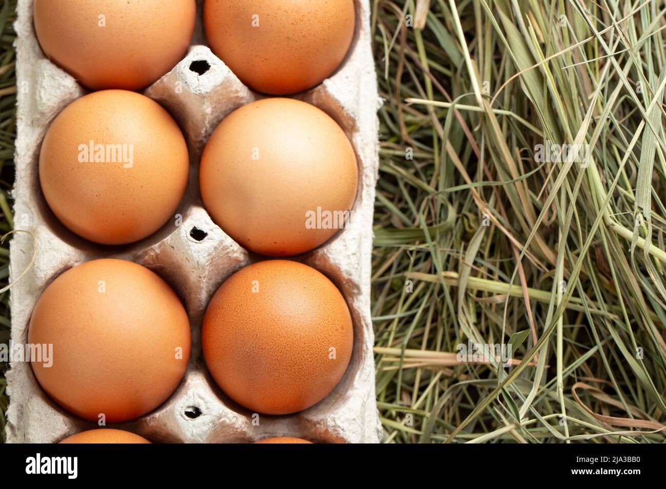Chicken eggs in a tray and in hay. Farming concept Stock Photo - Alamy