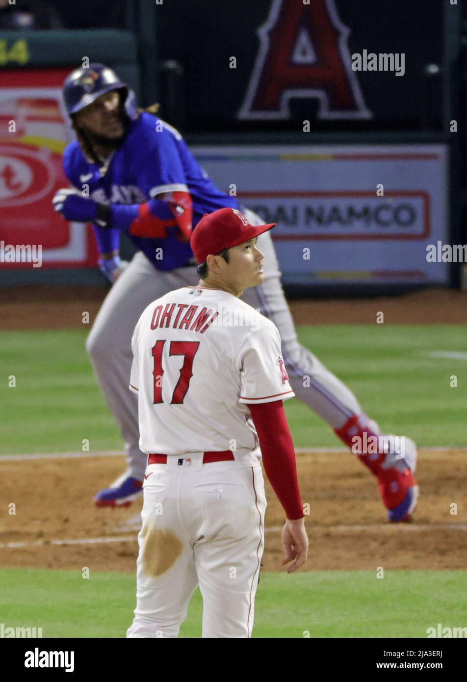 Alejandro Kirk's solo home run, 06/17/2022