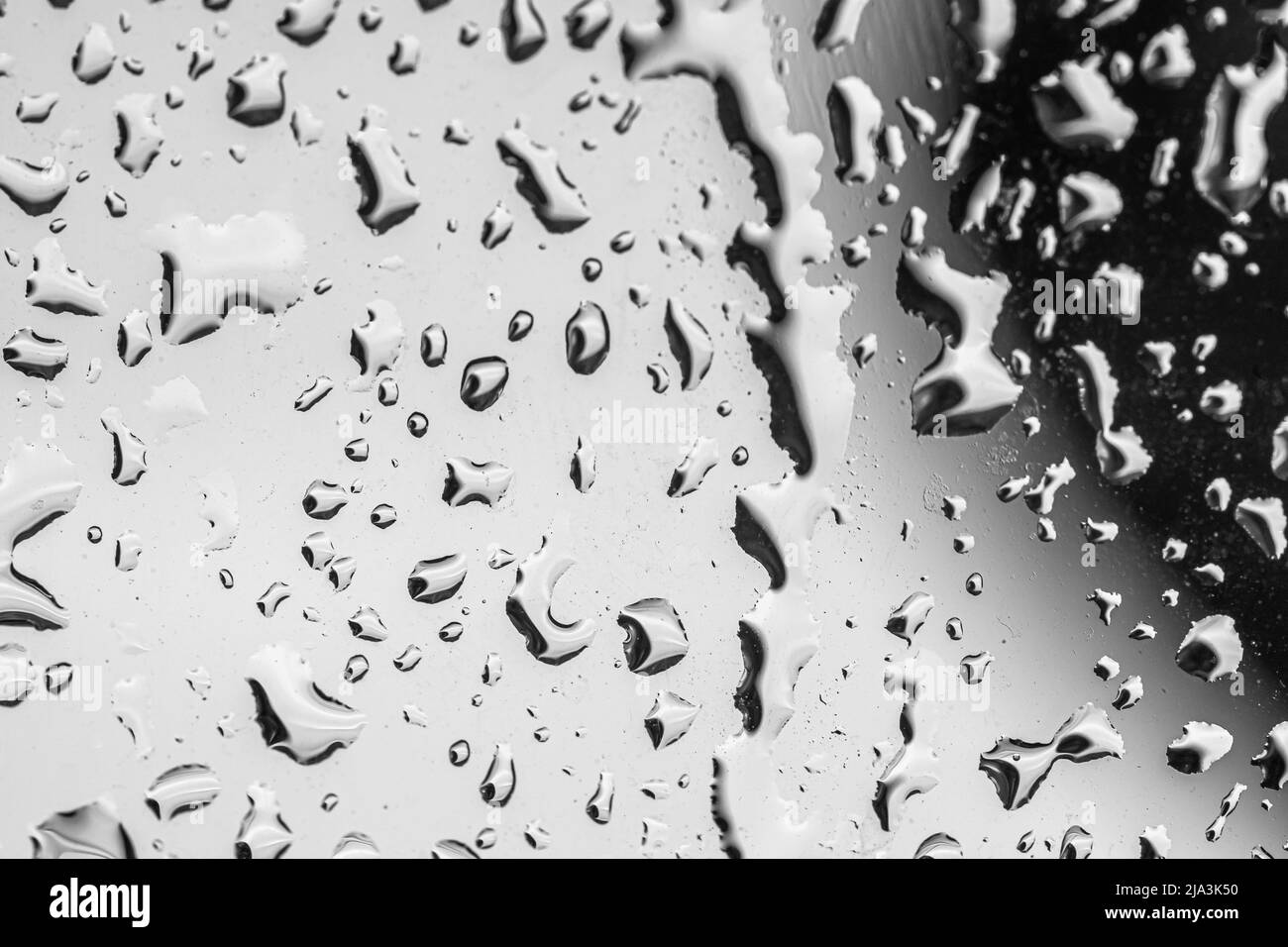 wet rain drops on windows Stock Photo