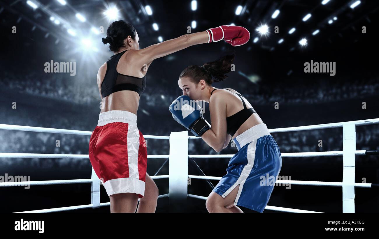 Collage with young female professional boxers in boxing gloves in motion  and action in drawn boxing ring background with spotlights. Concept of  sport Stock Photo - Alamy