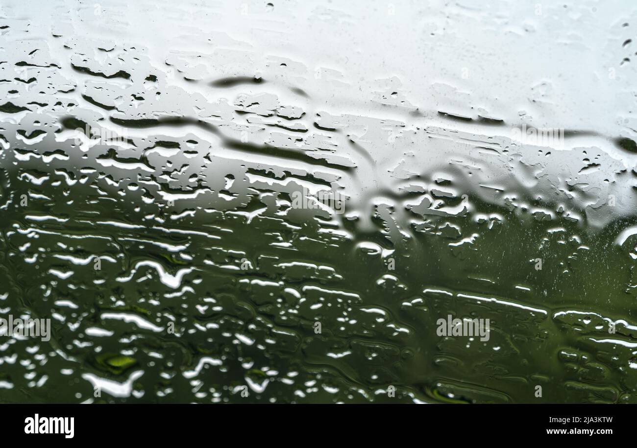wet rain drops on windows Stock Photo
