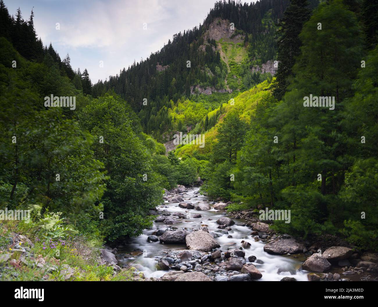 Wallpaper flowing water hi-res stock photography and images - Alamy