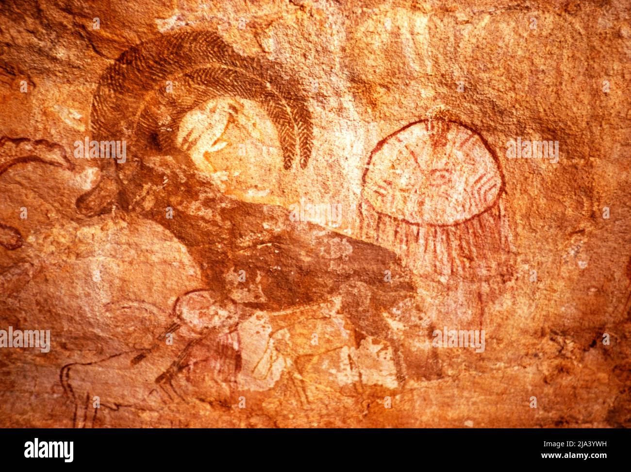 Famous prehistoric rock paintings of Tassili N'Ajjer, Algeria, north Africa 1973 horned Mouflon head Stock Photo