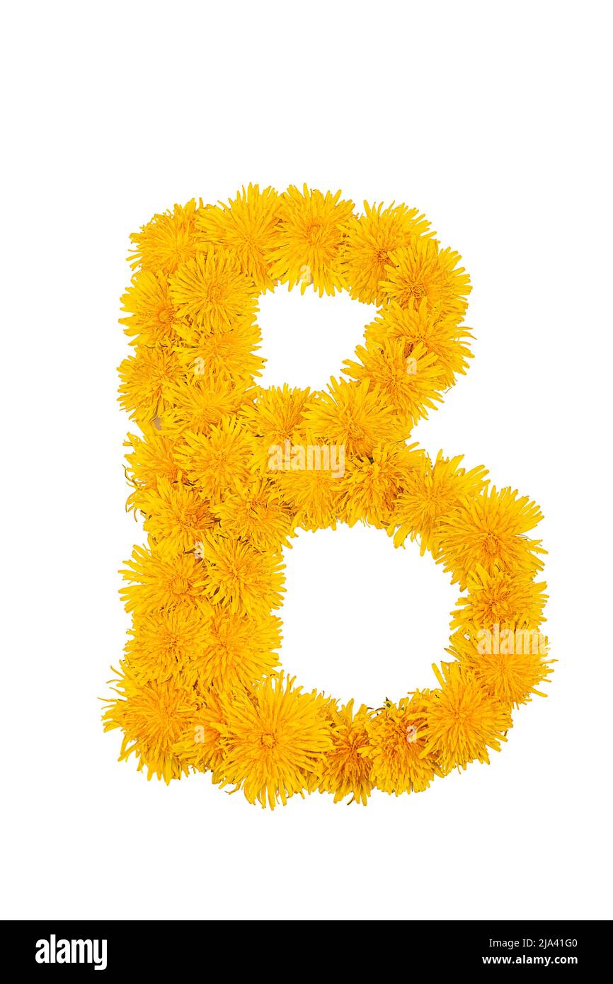 The English alphabet of dandelion flowers is isolated on a white background. Letter B Stock Photo