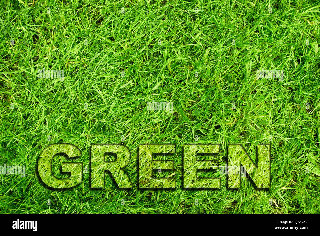 green transition and environment conservation concept Stock Photo
