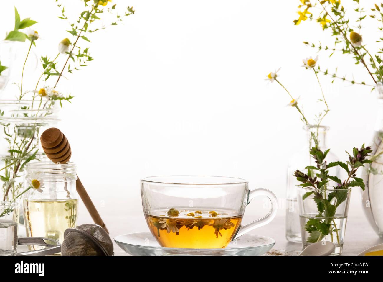 Botanical herbal tea, healthy beverage, organic ingredients Stock Photo ...