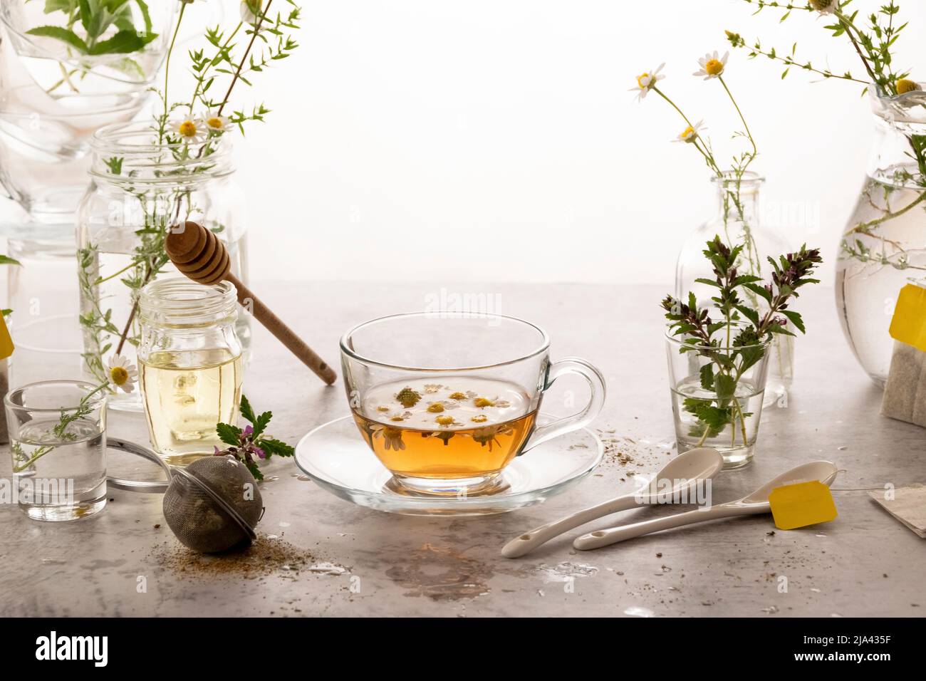 Botanical herbal tea, healthy beverage, organic ingredients Stock Photo ...
