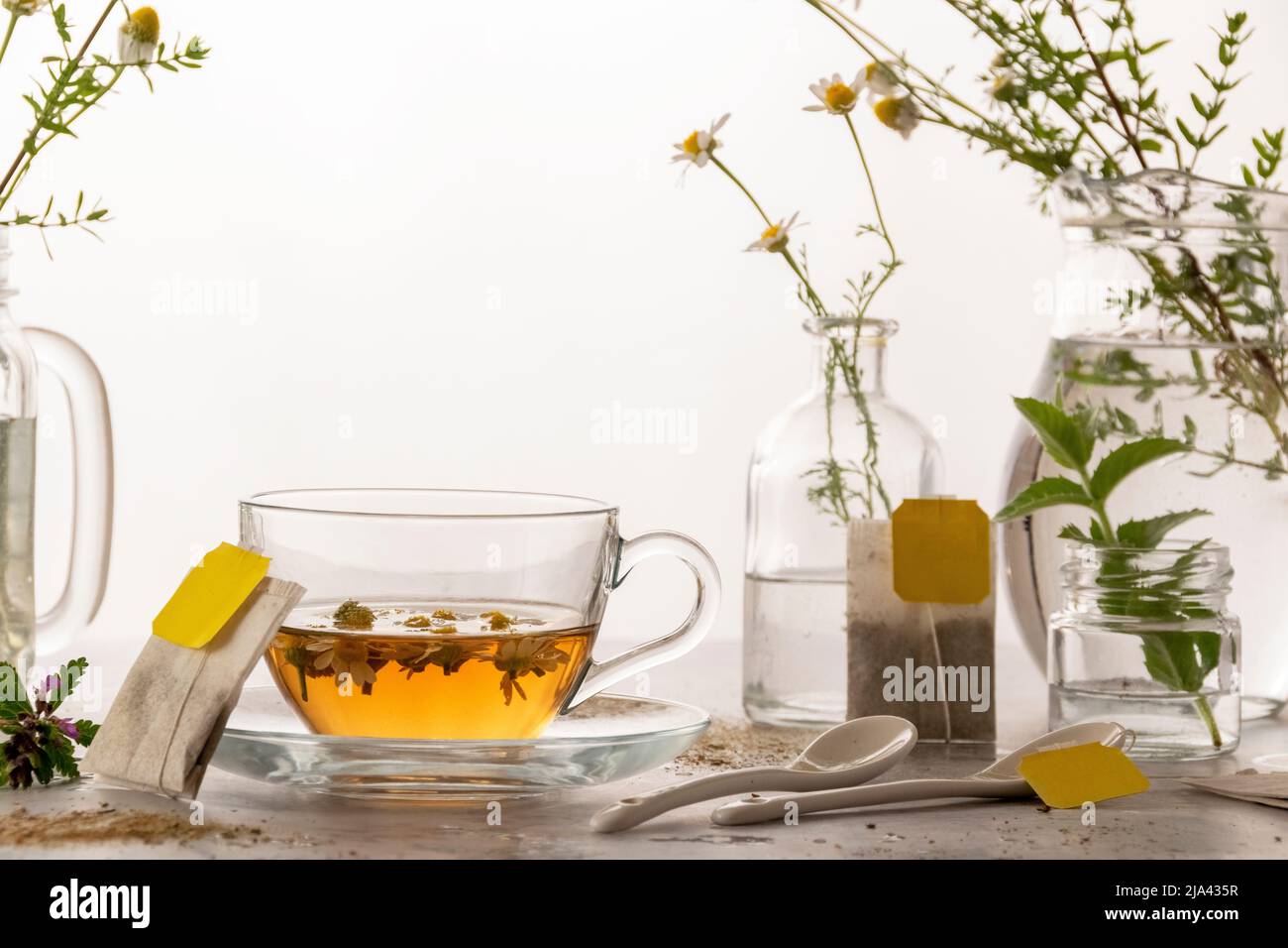 Botanical herbal tea, healthy beverage, organic ingredients Stock Photo ...