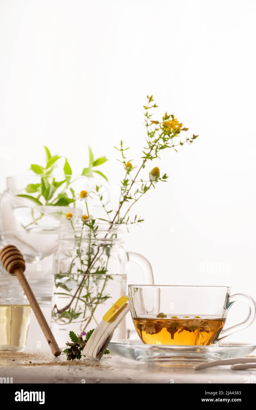 Botanical herbal tea, healthy beverage, organic ingredients Stock Photo ...