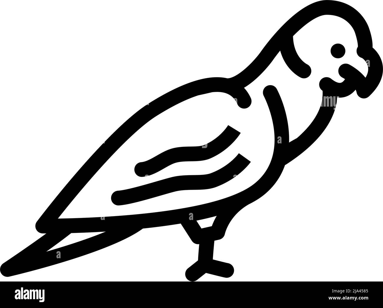 parrot bird line icon vector illustration Stock Vector Image & Art - Alamy