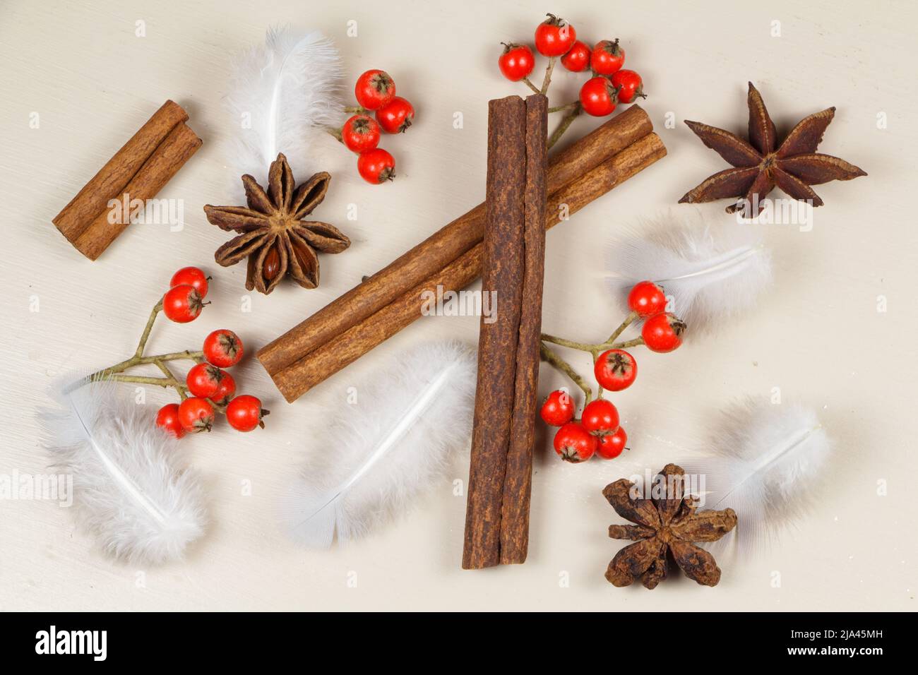 Cinnamon sticks, star anise, feather and red berries as decoration for Christmas Stock Photo