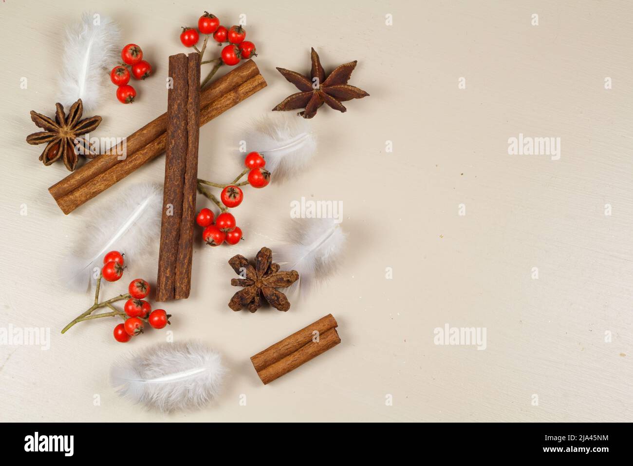 Cinnamon sticks, star anise, feather and red berries as decoration for Christmas Stock Photo