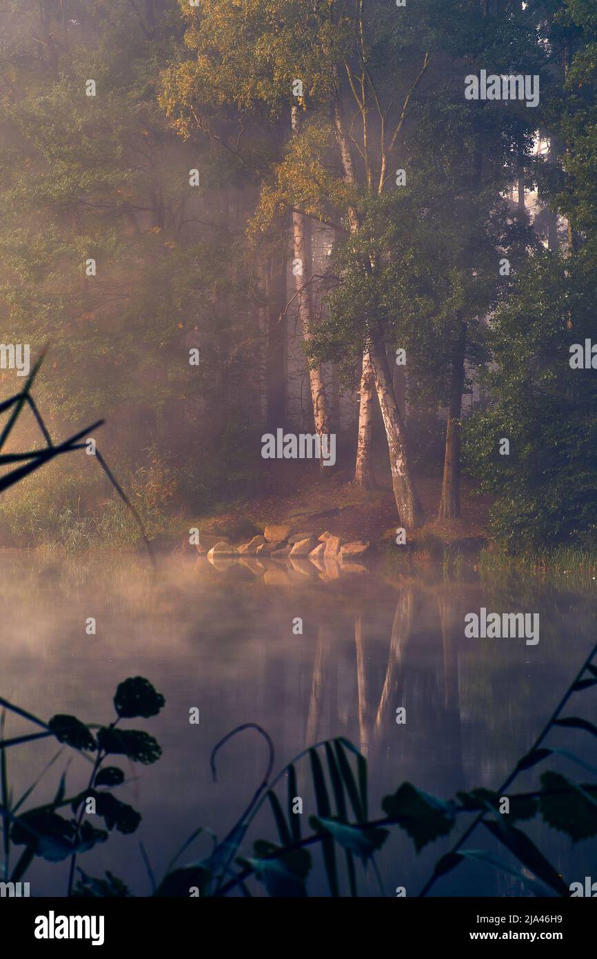 Stones in the lake at morning mist hi-res stock photography and images ...
