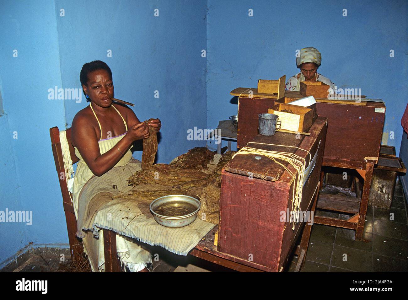 Cuban women rolling cuba cigars in a cigar factory at Pinar del Rio, Cuba, Caribbean Stock Photo