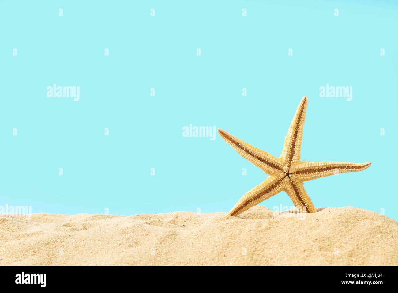 A yellow starfish on the sand and on a light blue background with copy space Stock Photo