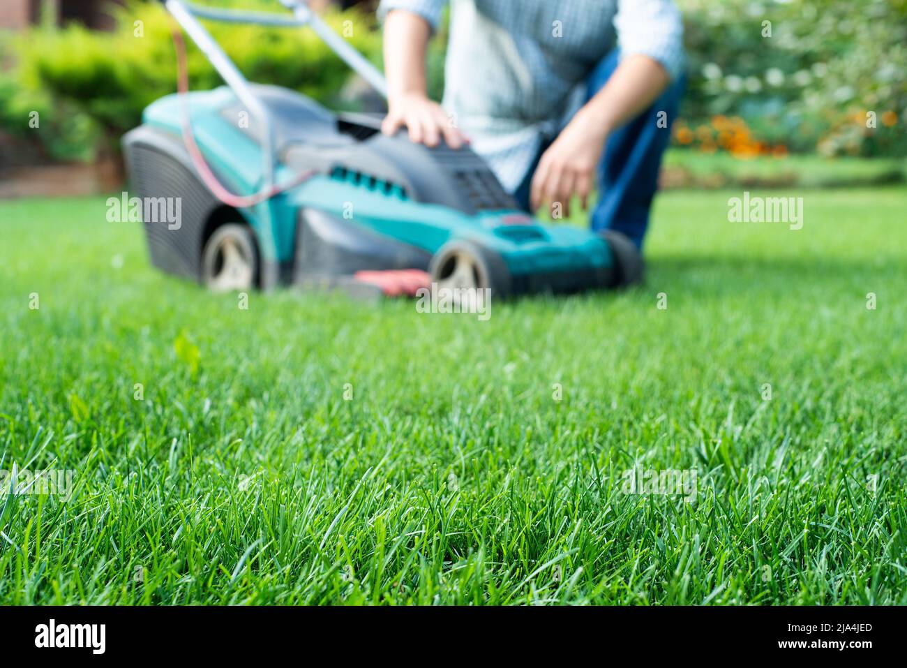 Man with lawn mower going to trim grass Stock Photo Alamy