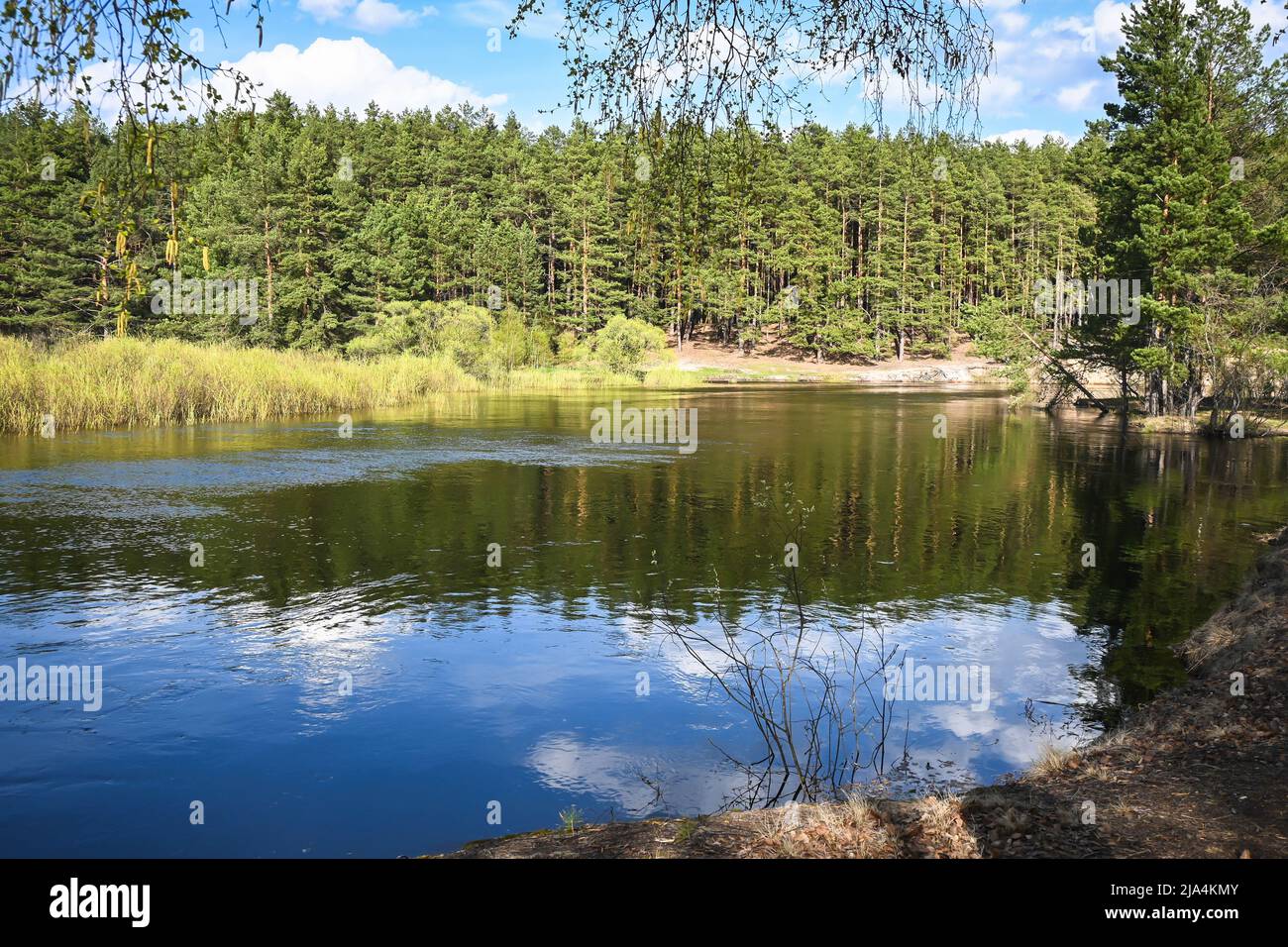Spring day on the forest river. A national park in central Russia Stock ...