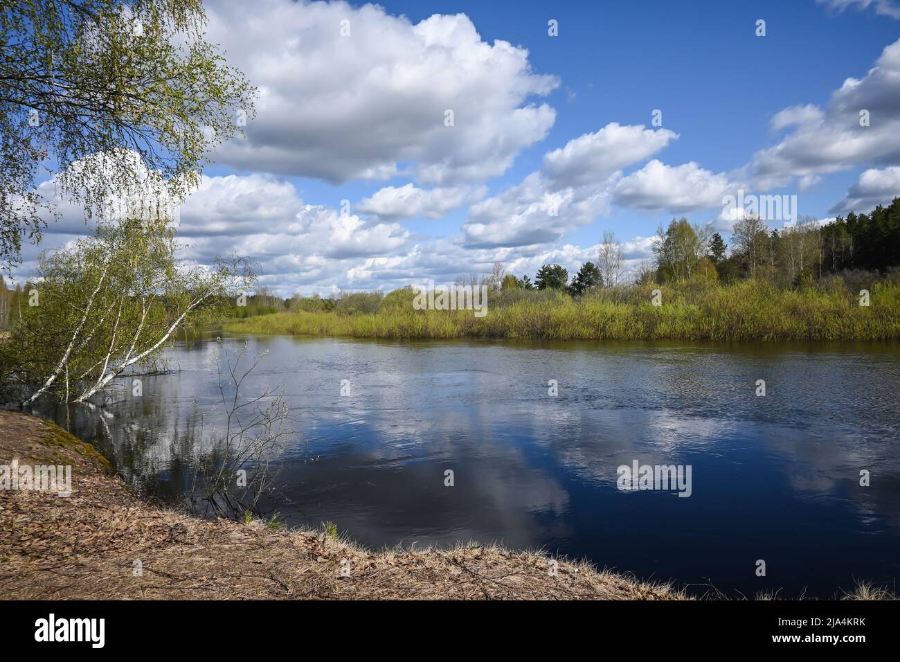 Spring day on the forest river. A national park in central Russia Stock ...
