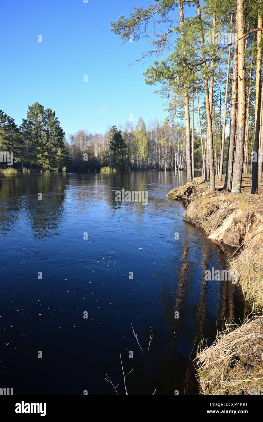Spring day on the forest river. A national park in central Russia Stock ...