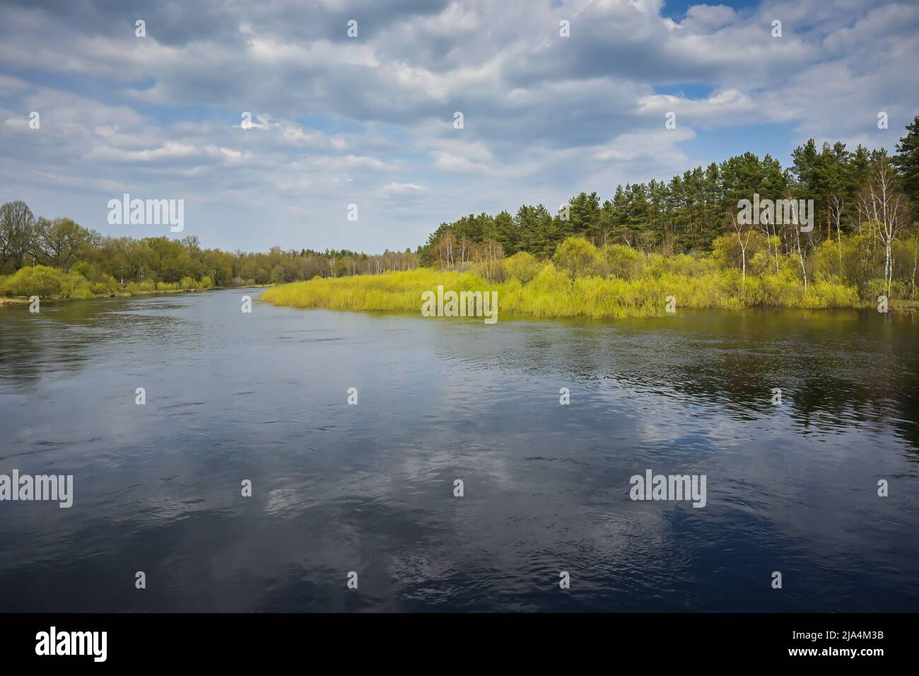 Spring day on the forest river. A national park in central Russia Stock ...