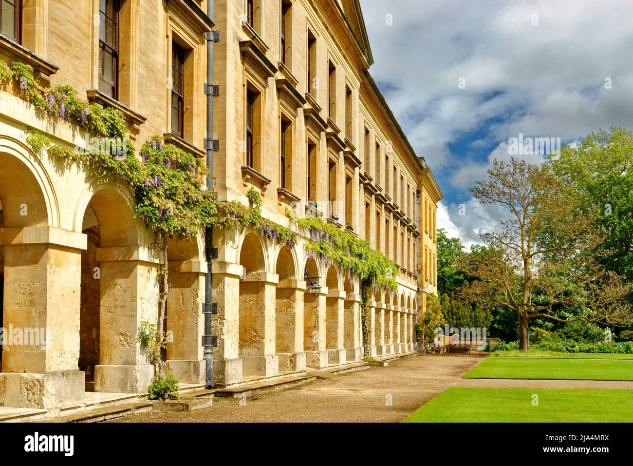 OXFORD CITY ENGLAND MAGDALEN COLLEGE THE EMPRESS TREE AND WISTERIA AND FLOWERS ON THE WALL OF THE NEW BUILDING Stock Photo