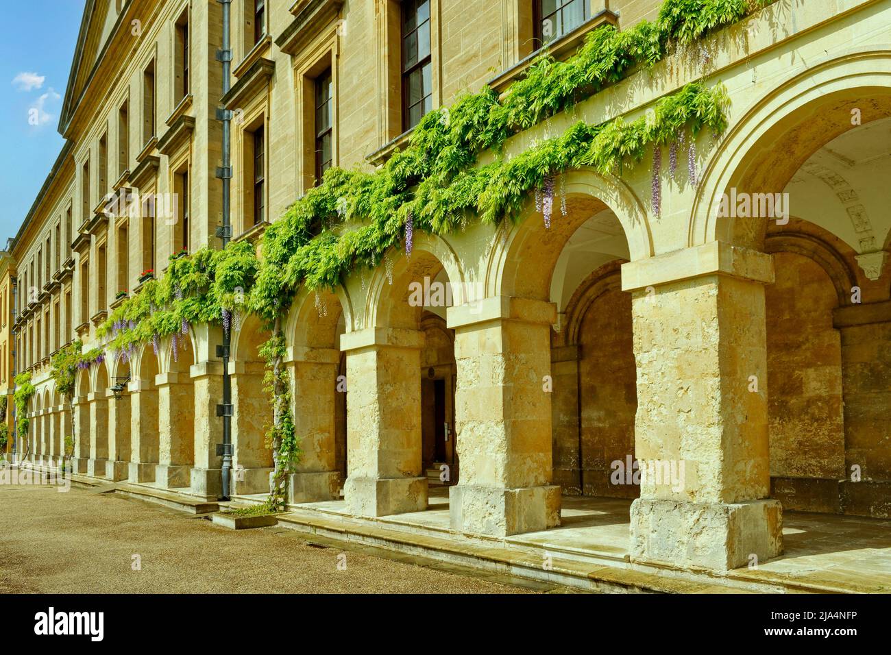 OXFORD CITY ENGLAND MAGDALEN COLLEGE WISTERIA AND FLOWERS ABOVE THE CLOISTERS OF THE NEW BUILDING Stock Photo