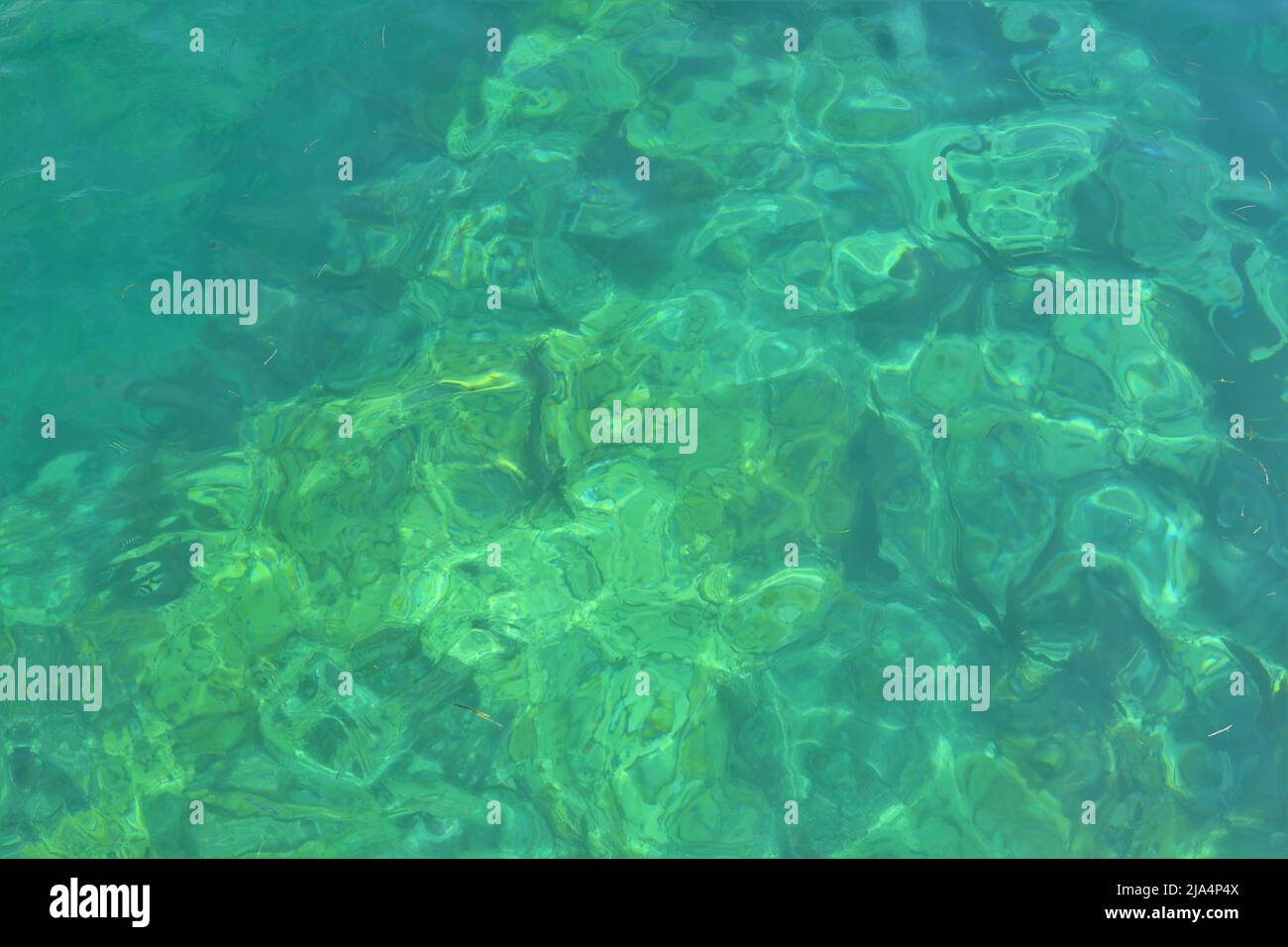 green azure warm water in Key West Florida Stock Photo Alamy