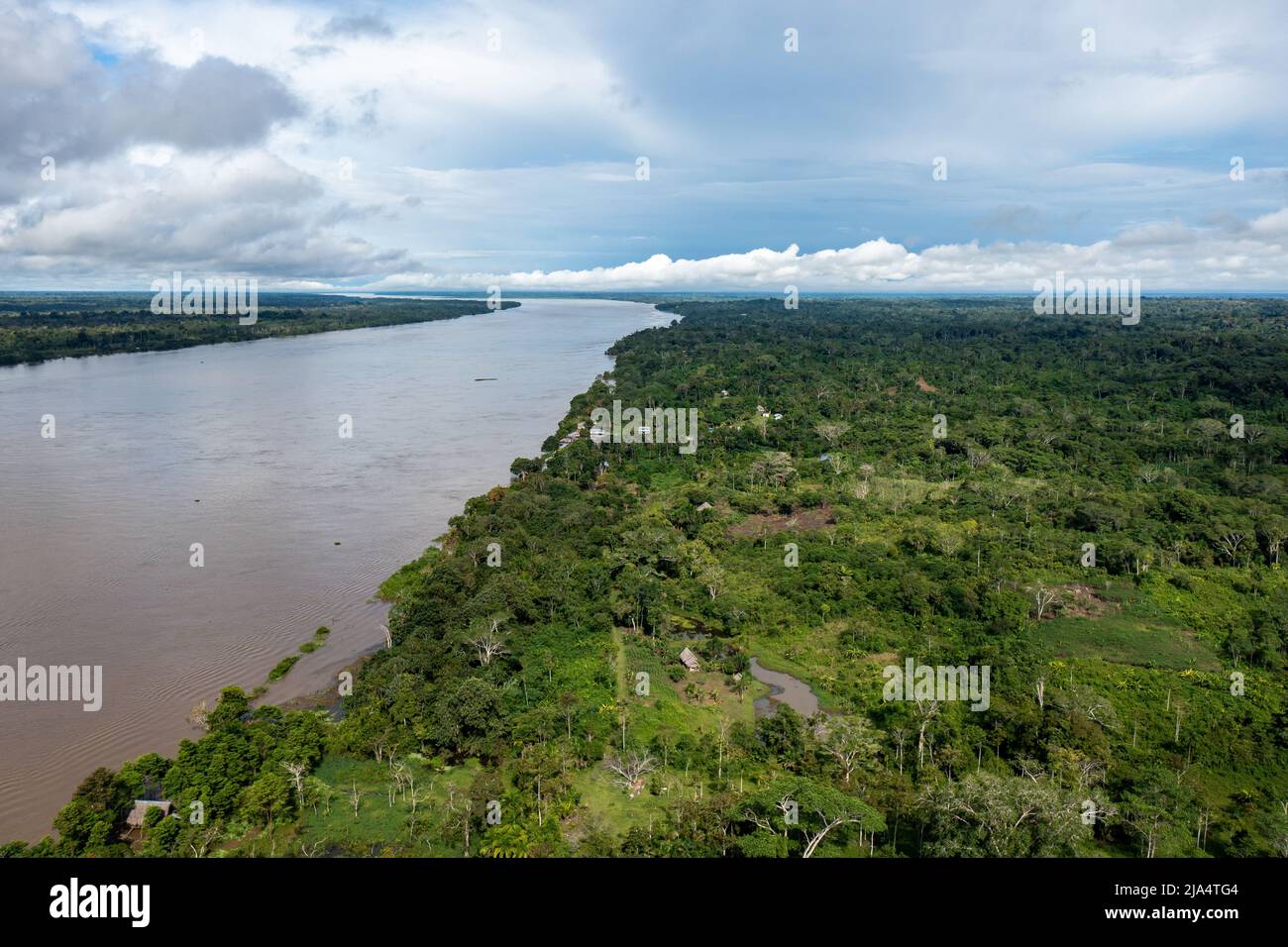 Amazon River Aerial View. Tropical Green Rainforest in Peru, South America. Bird'seye view