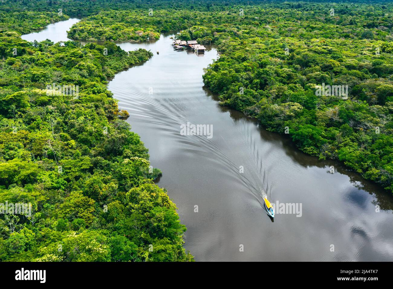 Aerial view of Amazon rainforest in Peru, South America. Green forest. Bird's-eye view. Jungle in Peru. - Stock Image