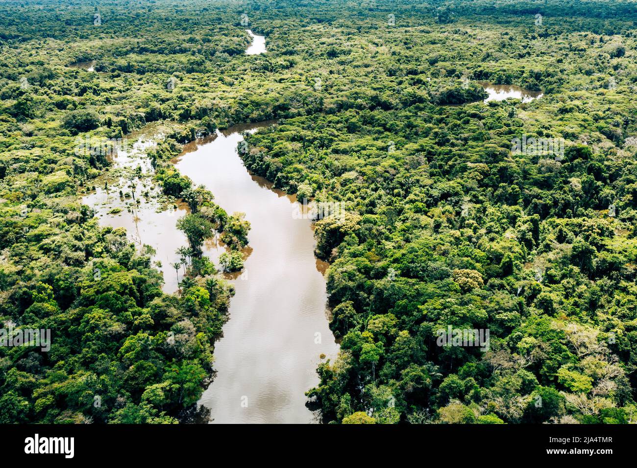 Aerial view of Amazon rainforest in Peru, South America. Green forest ...
