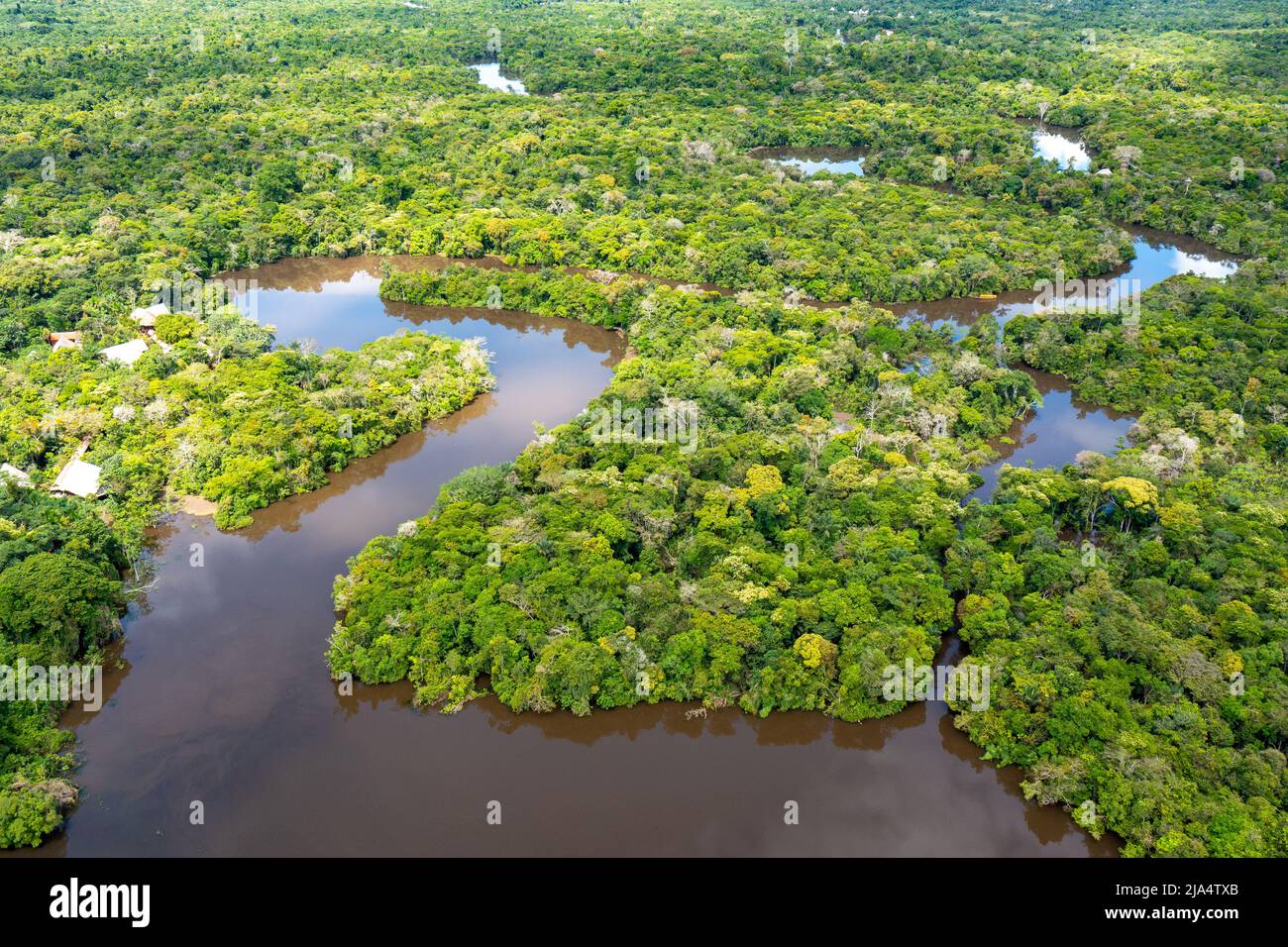 Aerial view of Amazon rainforest in Peru, South America. Green forest ...