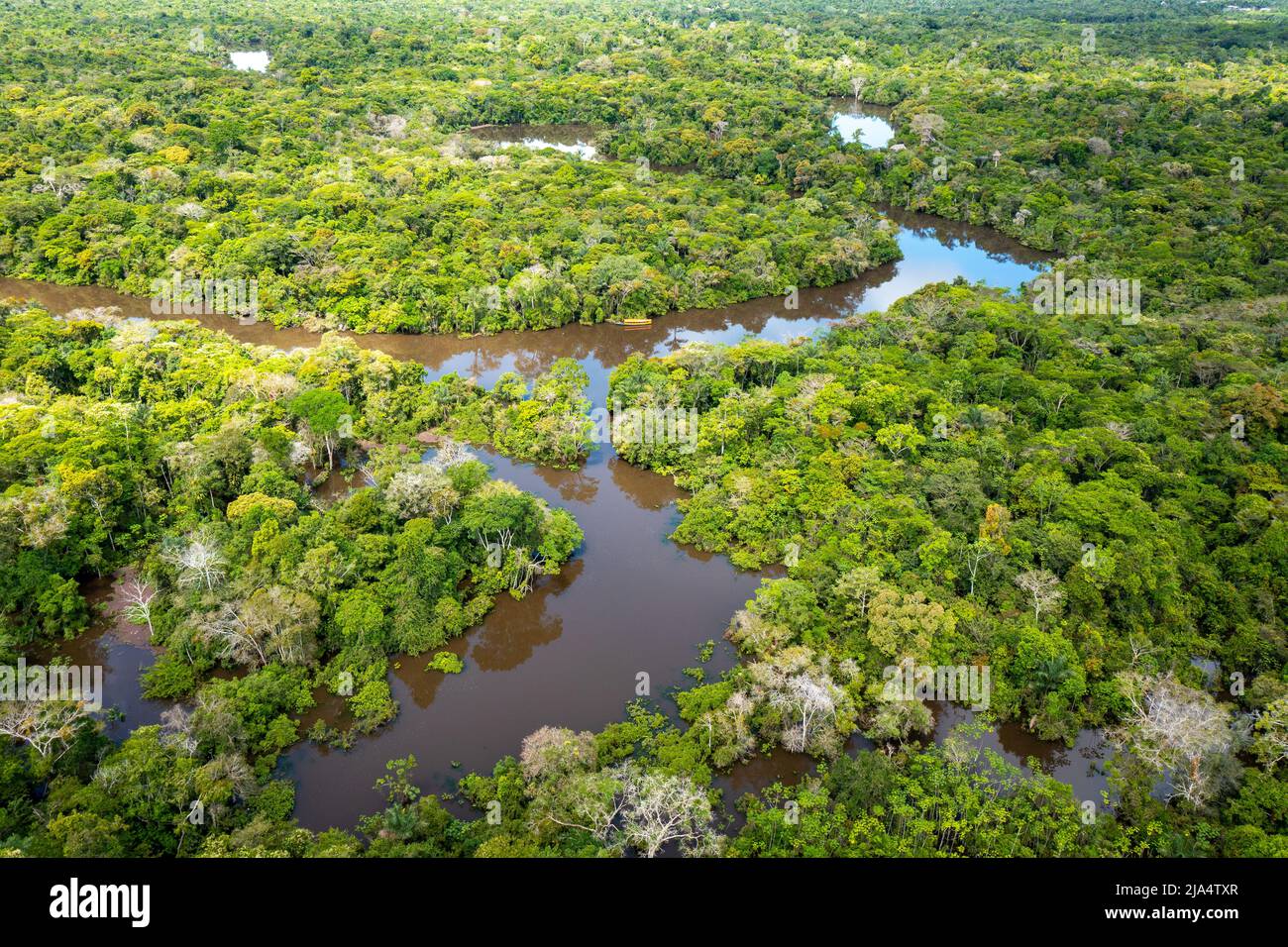 Aerial view of Amazon rainforest in Peru, South America. Green forest ...