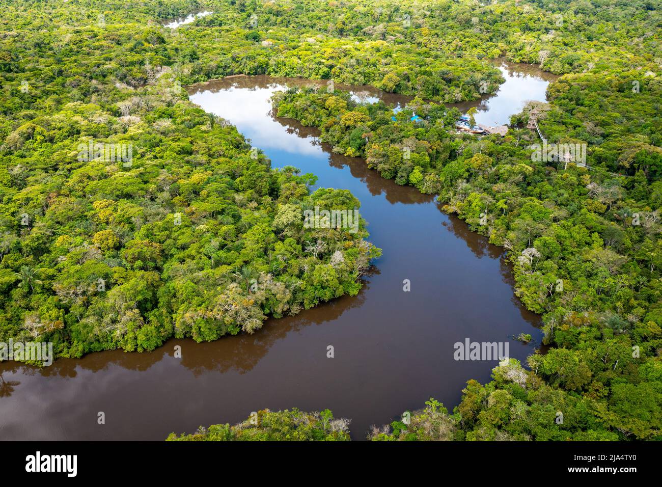 Aerial view of Amazon rainforest in Peru, South America. Green forest ...