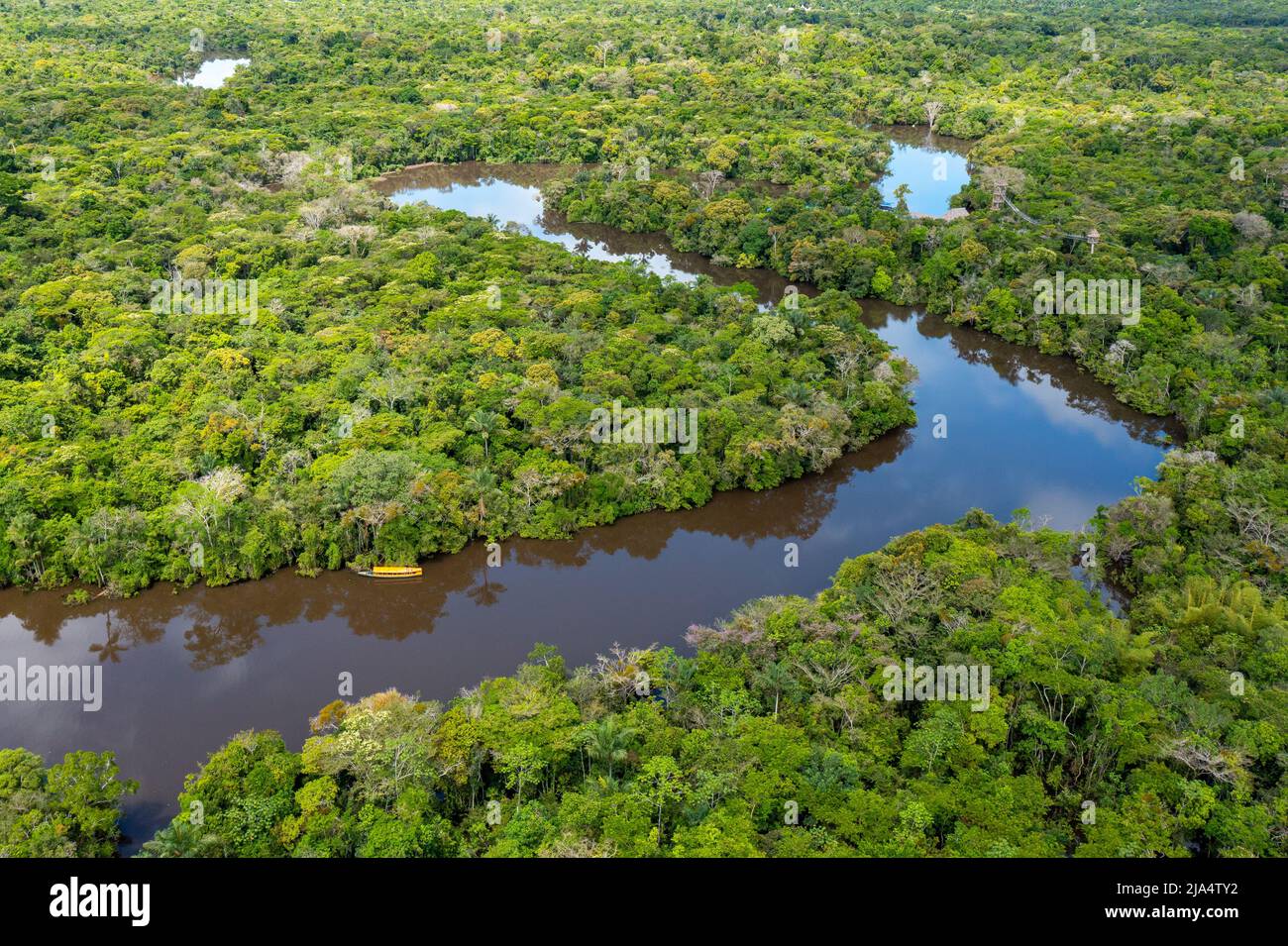 Aerial view of Amazon rainforest in Peru, South America. Green forest ...