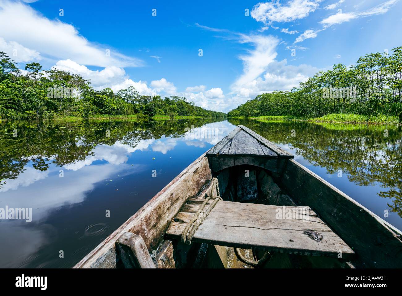 Amazon Rainforest Riverbank. Sailing down river Yanayacu at the Amazon