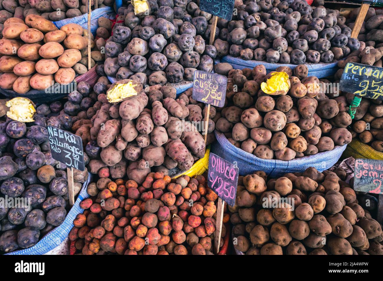 Different types of potatoes at the local market in Arequipa city, Peru