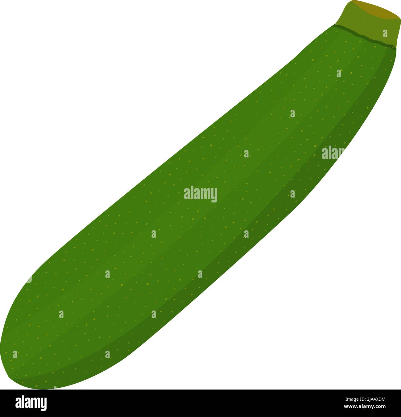 green zucchini isolated on white background, flat design vector illustration Stock Vector