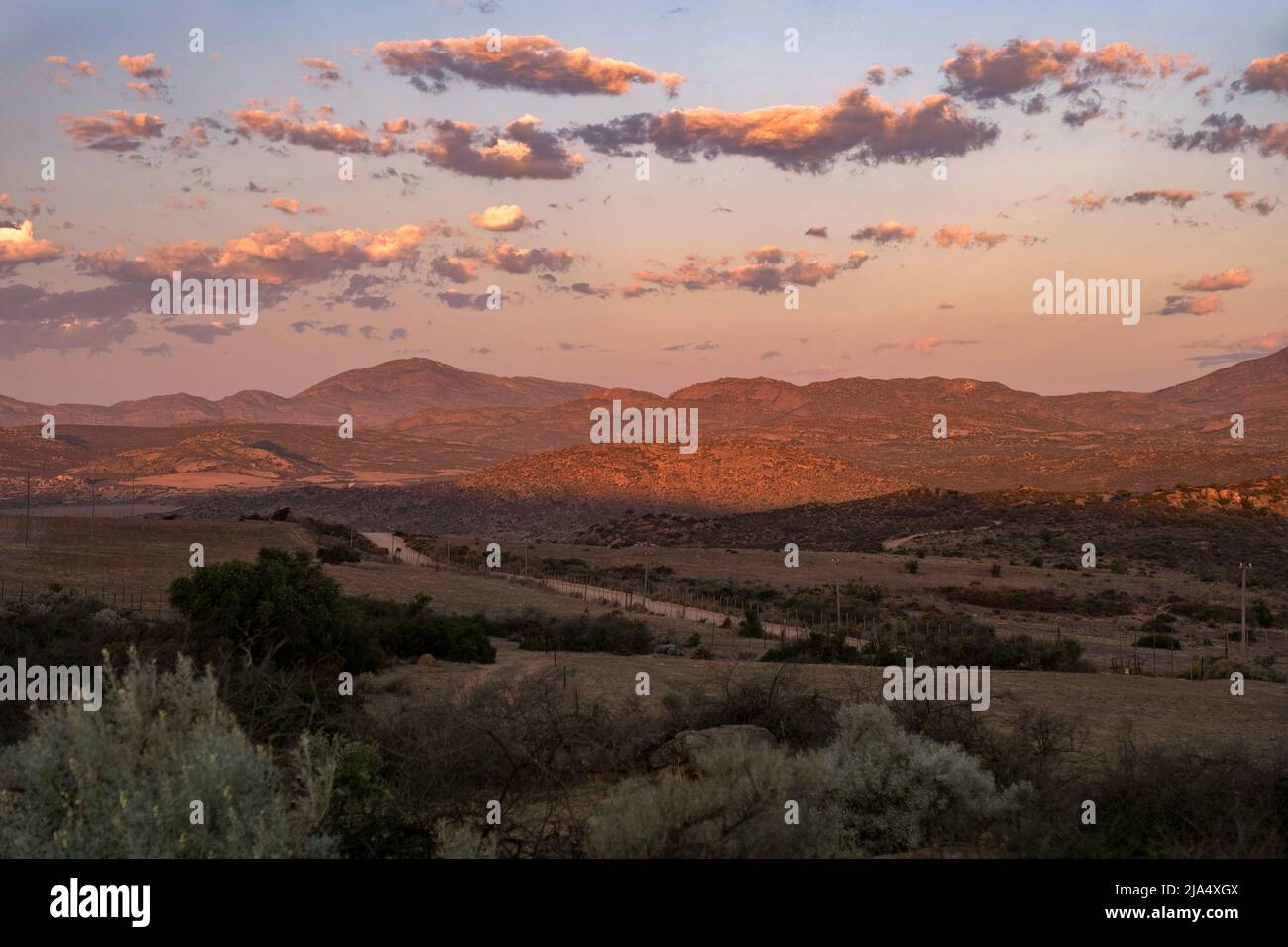 Sunset over semi-desert landscape in the Namaqua National Park, Namaqualand, Northern Cape Province, South Africa Stock Photo