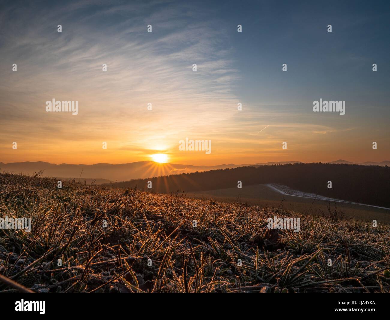 Shiny morning hi-res stock photography and images - Alamy