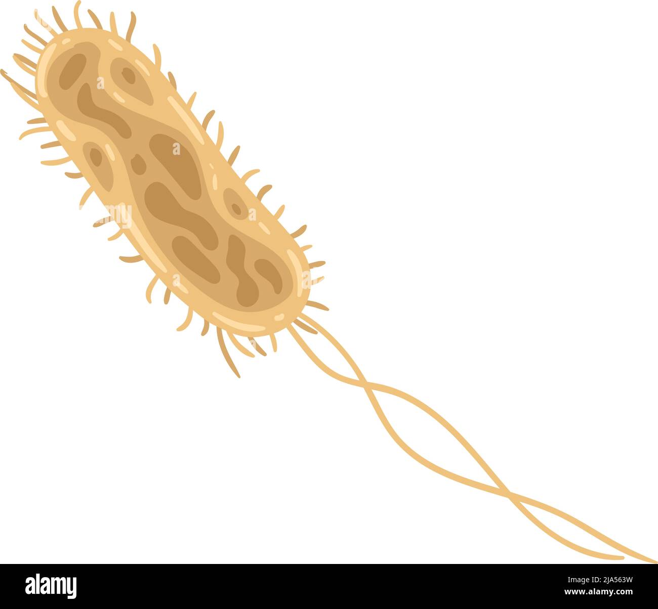 Bacterium Vector science lab bacterium Stock Vector Image & Art - Alamy