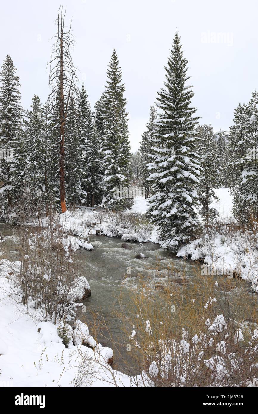 Snowy creek in Keystone Stock Photo Alamy