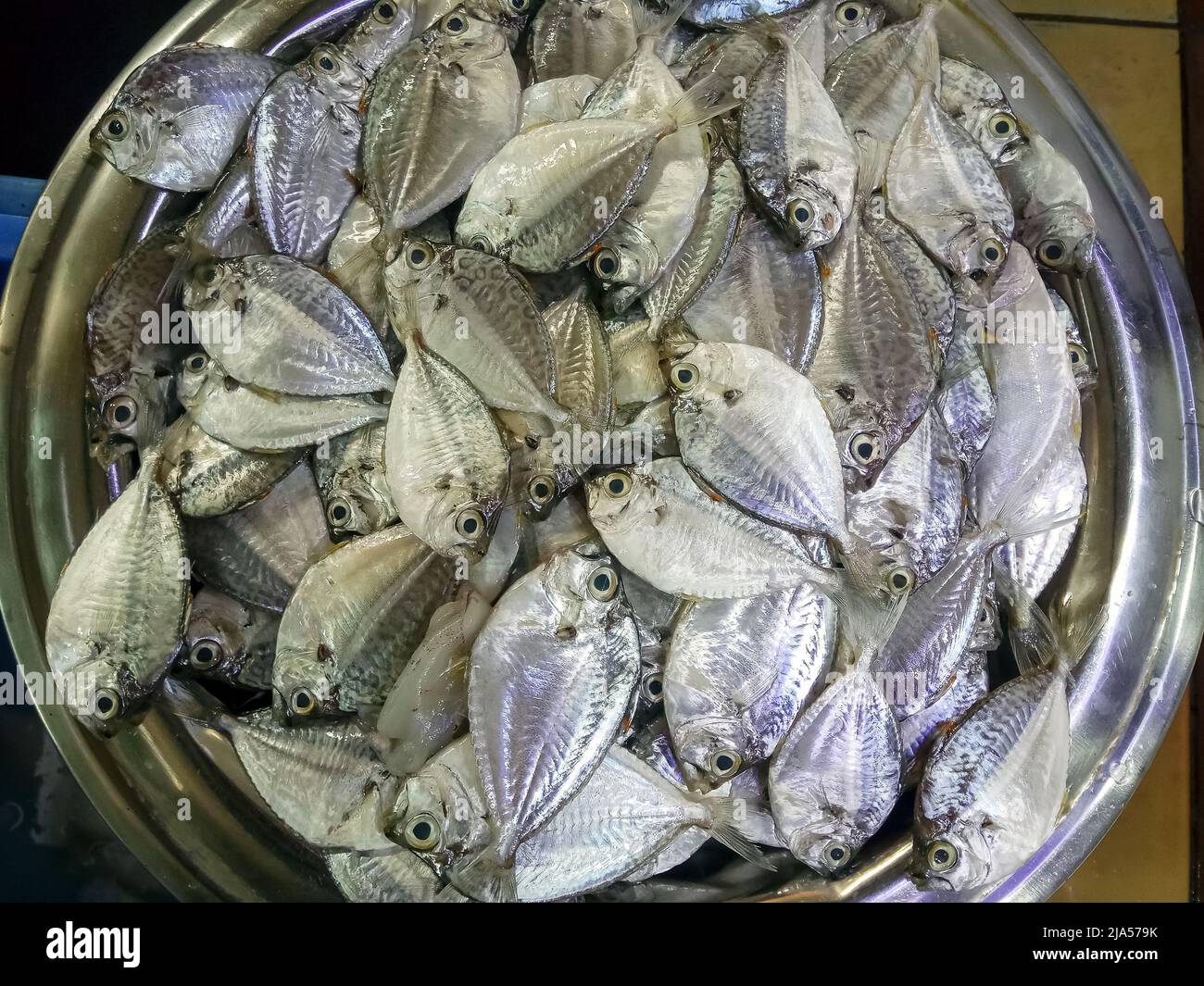 Fish Market in Dammam, Saudi Arabia Stock Photo Alamy