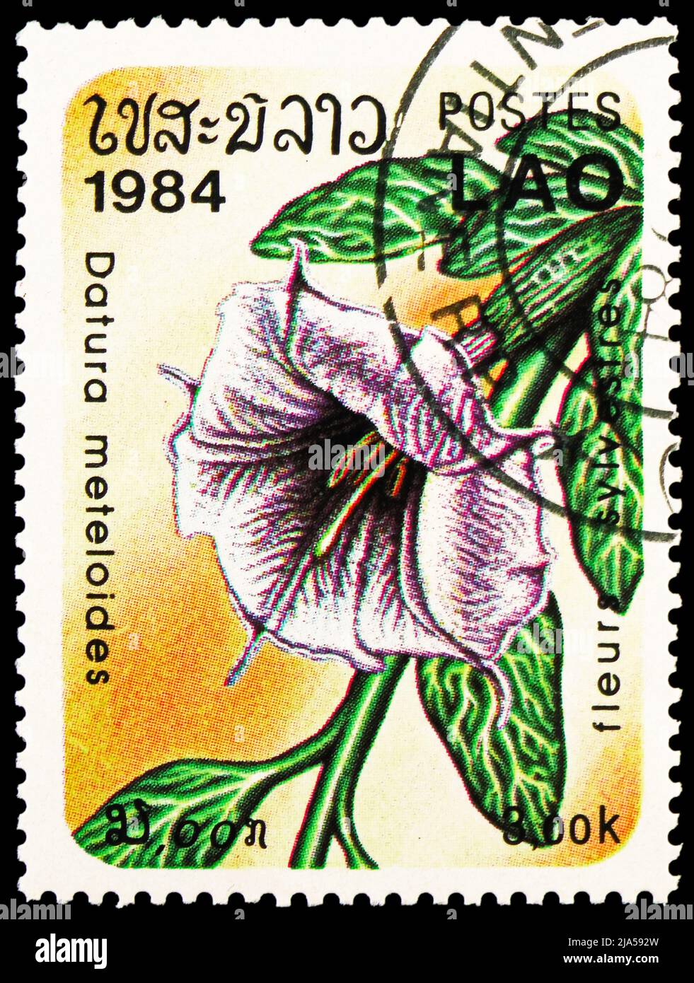 MOSCOW, RUSSIA - MAY 14, 2022: Postage stamp printed in Laos shows Datura meteloides, Flowers serie, circa 1984 Stock Photo