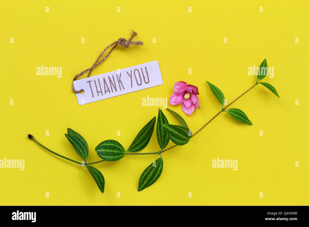 Thank you tag on vivid yellow background with green leaves and pink flower Stock Photo
