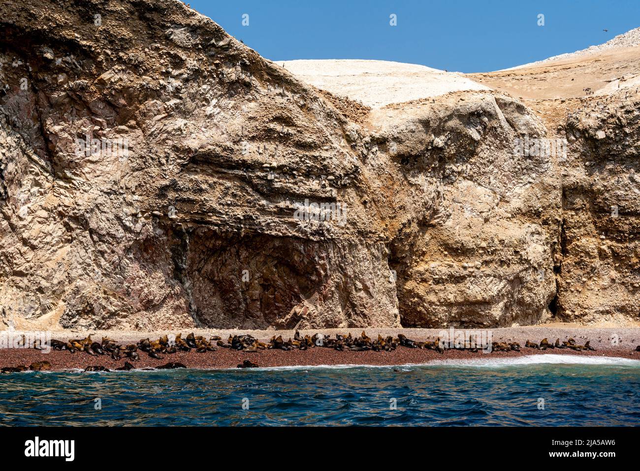 Sea Lions On A Beach In The Islas Ballestas, Paracas National Park, Ica Region, Peru. Stock Photo