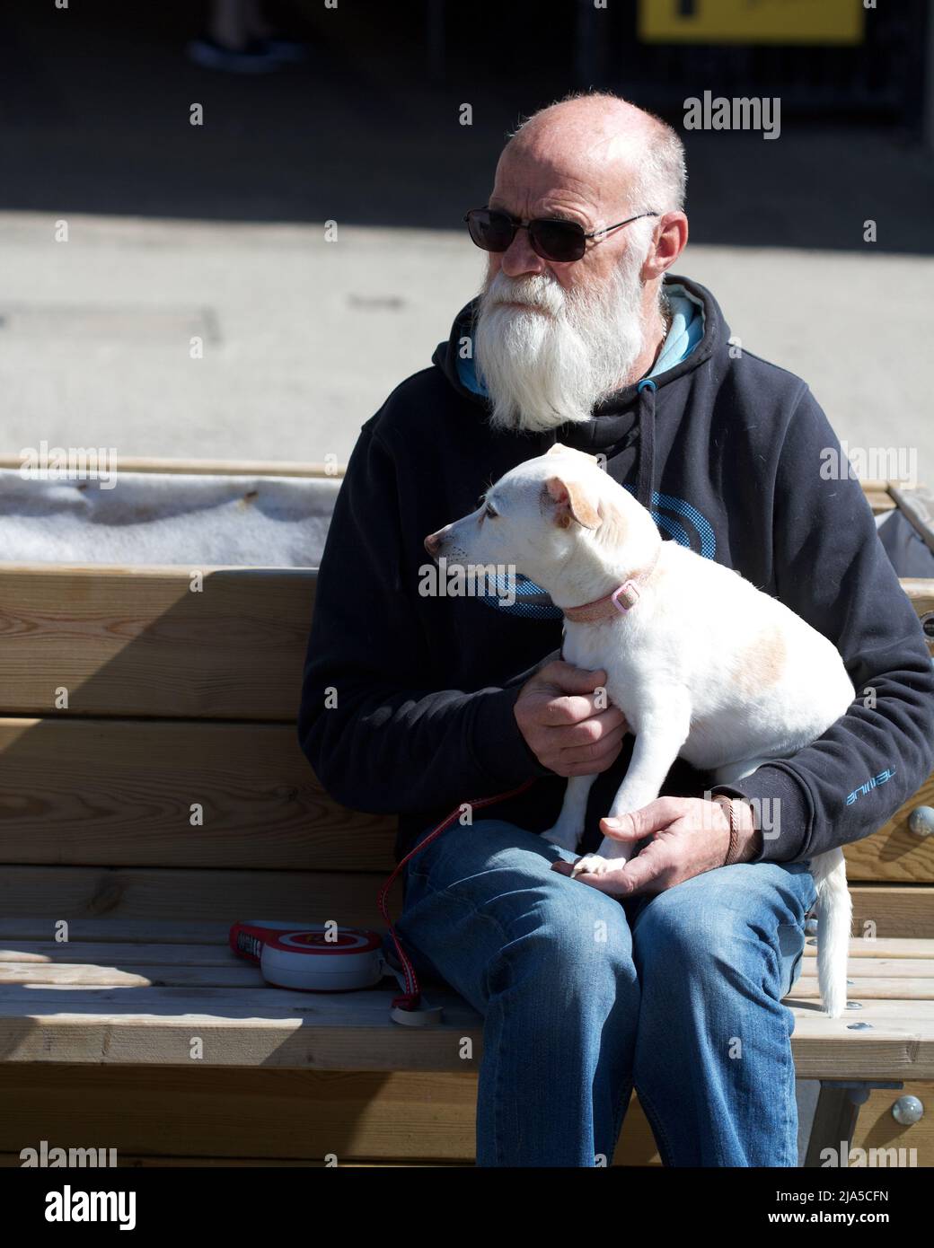 Old man with grey beard sat holding pet terrier dog on his lap Stock