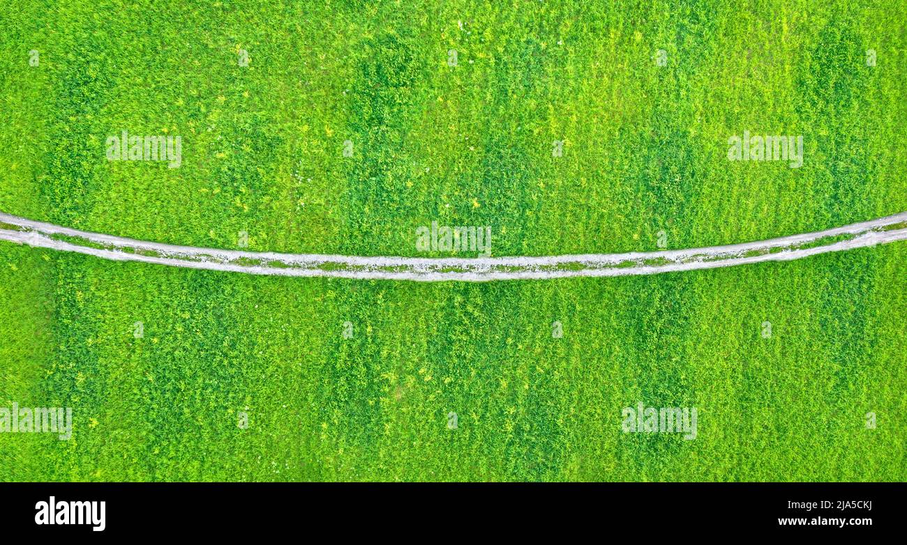 Dirt road with wheel tracks across green grass, aerial view directly above Stock Photo