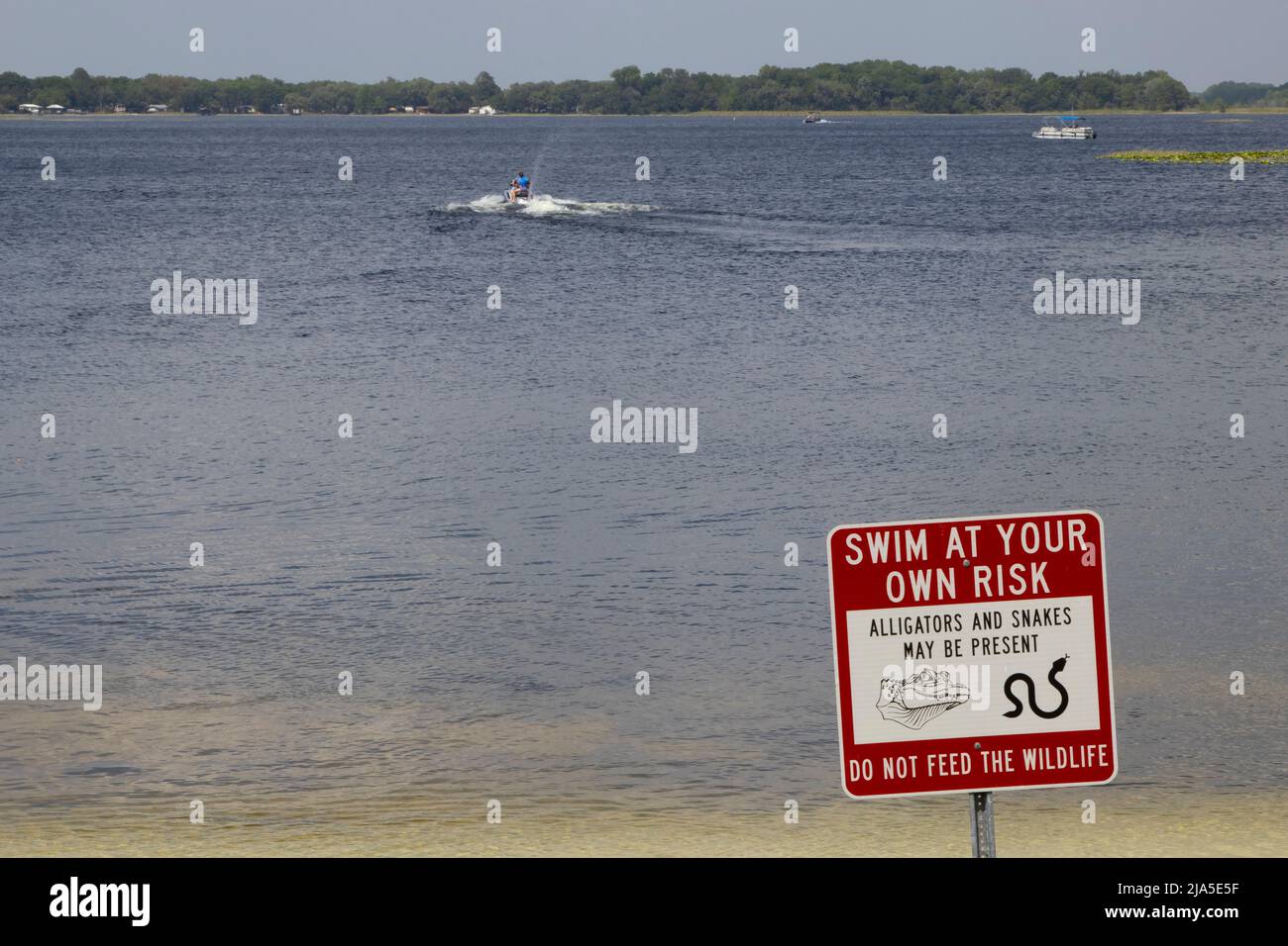 Warning sign at a Florida lake: Swim At Your Own Risk, Alligators and Snakes May Be Present Stock Photo