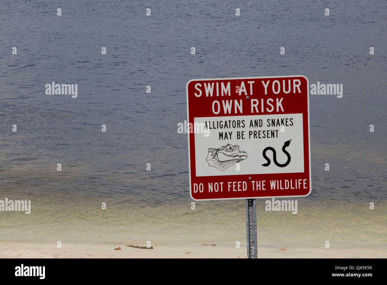 Warning sign at a Florida lake: Swim At Your Own Risk, Alligators and Snakes May Be Present Stock Photo